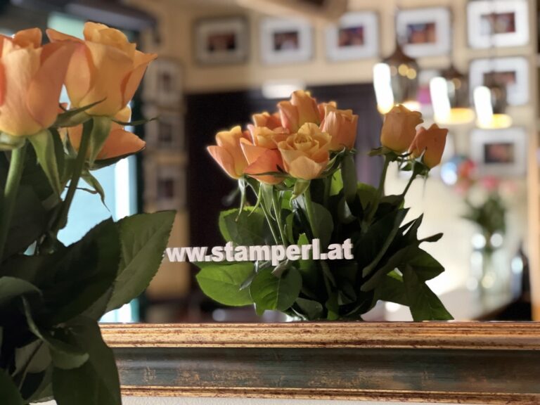 Impression mit Blumen im Spiegel in der Stamperl Bar